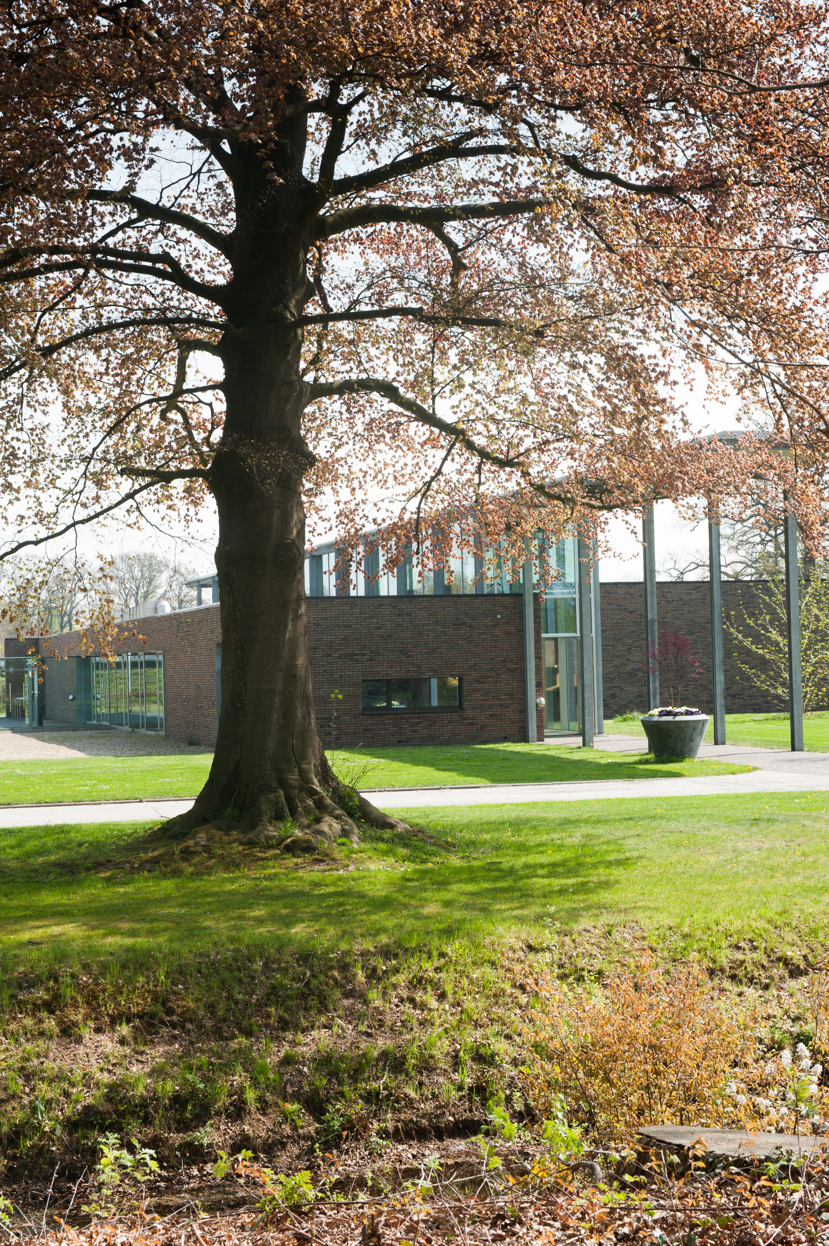 Uitvaartcentrum Kranenburg Lanceert nieuwe website